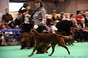 Crufts2011 911